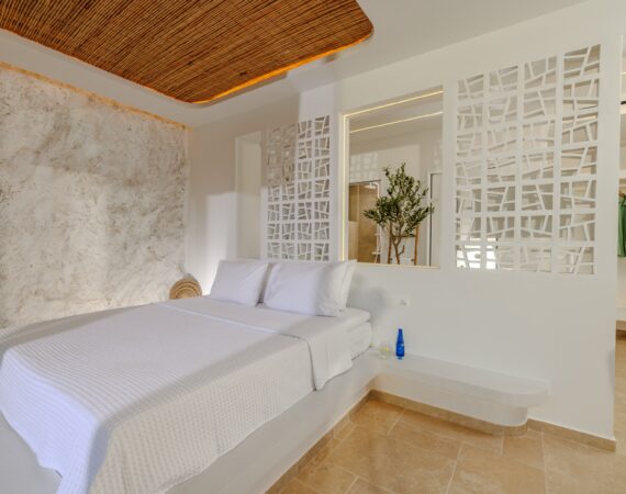 MASTER BEDROOM 1 (4)